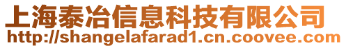 上海泰冶信息科技有限公司