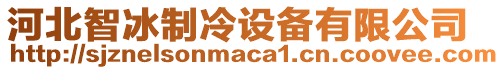 河北智冰制冷設(shè)備有限公司