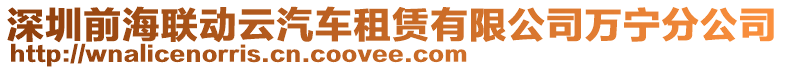 深圳前海聯(lián)動云汽車租賃有限公司萬寧分公司