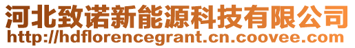 河北致諾新能源科技有限公司