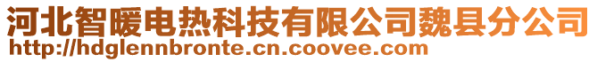 河北智暖電熱科技有限公司魏縣分公司