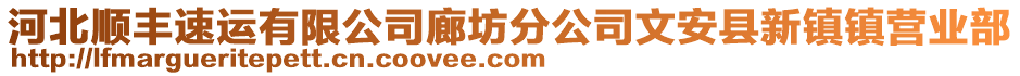 河北順豐速運有限公司廊坊分公司文安縣新鎮(zhèn)鎮(zhèn)營業(yè)部