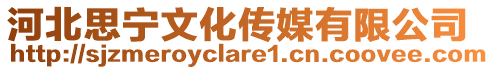 河北思寧文化傳媒有限公司