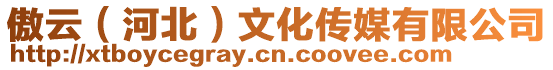 傲云(河北)文化傳媒有限公司