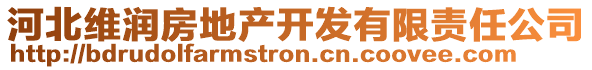 河北維潤房地產(chǎn)開發(fā)有限責(zé)任公司