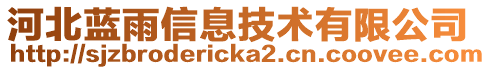 河北藍(lán)雨信息技術(shù)有限公司