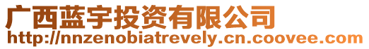廣西藍(lán)宇投資有限公司