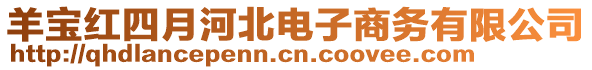 羊?qū)毤t四月河北電子商務(wù)有限公司