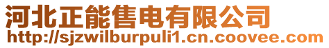 河北正能售電有限公司