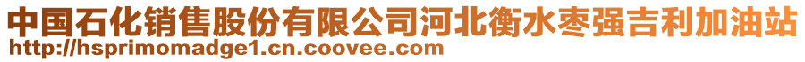 中國(guó)石化銷售股份有限公司河北衡水棗強(qiáng)吉利加油站