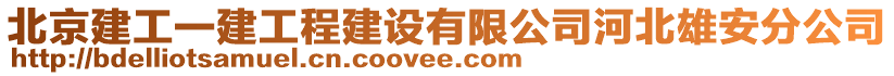 北京建工一建工程建設(shè)有限公司河北雄安分公司