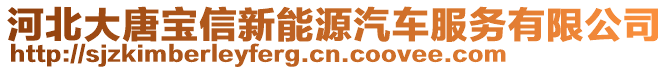 河北大唐寶信新能源汽車服務(wù)有限公司