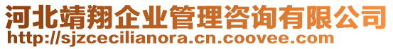 河北靖翔企業(yè)管理咨詢有限公司