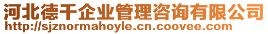 河北德千企业管理咨询有限公司