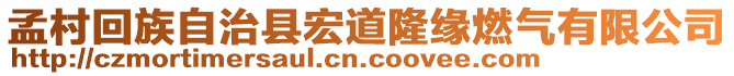 孟村回族自治縣宏道隆緣燃?xì)庥邢薰? style=