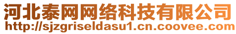 河北泰網(wǎng)網(wǎng)絡(luò)科技有限公司