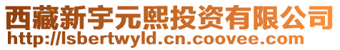 西藏新宇元熙投資有限公司