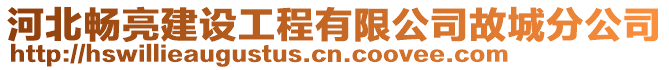 河北暢亮建設(shè)工程有限公司故城分公司