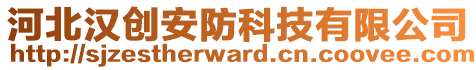 河北漢創(chuàng)安防科技有限公司