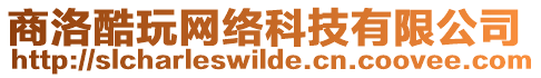 商洛酷玩網(wǎng)絡(luò)科技有限公司