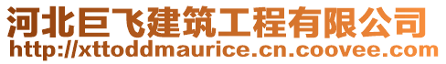 河北巨飛建筑工程有限公司
