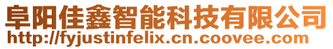 阜陽(yáng)佳鑫智能科技有限公司