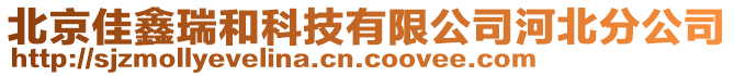 北京佳鑫瑞和科技有限公司河北分公司