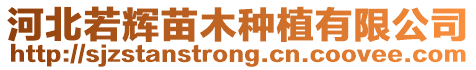 河北若輝苗木種植有限公司