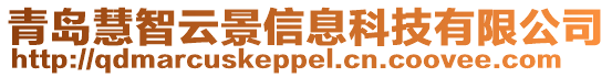 青島慧智云景信息科技有限公司