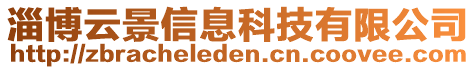 淄博云景信息科技有限公司