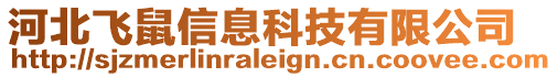 河北飛鼠信息科技有限公司