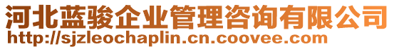 河北藍駿企業(yè)管理咨詢有限公司