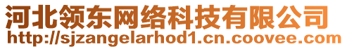 河北領(lǐng)東網(wǎng)絡(luò)科技有限公司