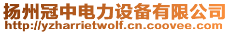 揚(yáng)州冠中電力設(shè)備有限公司