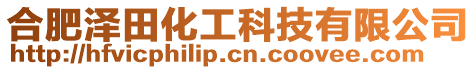 合肥澤田化工科技有限公司