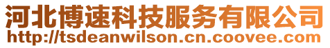 河北博速科技服務(wù)有限公司