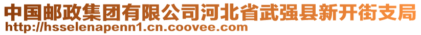 中國郵政集團(tuán)有限公司河北省武強(qiáng)縣新開街支局