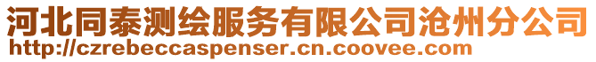 河北同泰測繪服務(wù)有限公司滄州分公司