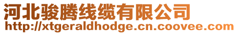 河北駿騰線(xiàn)纜有限公司