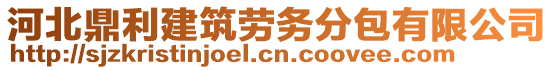 河北鼎利建筑勞務分包有限公司