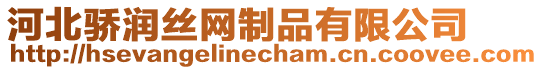 河北驕潤(rùn)絲網(wǎng)制品有限公司