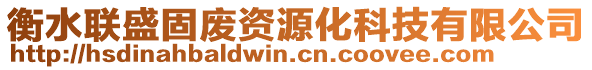 衡水聯(lián)盛固廢資源化科技有限公司