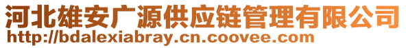 河北雄安广源供应链管理有限公司