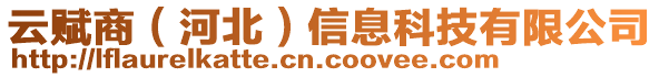 云賦商（河北）信息科技有限公司