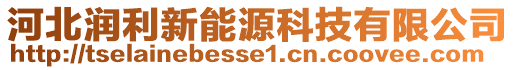 河北潤利新能源科技有限公司