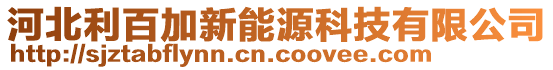 河北利百加新能源科技有限公司