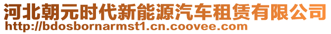 河北朝元時代新能源汽車租賃有限公司
