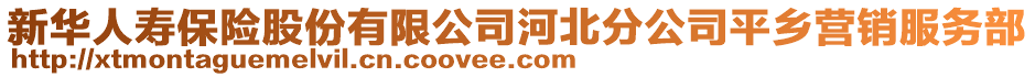 新华人寿保险股份有限公司河北分公司平乡营销服务部