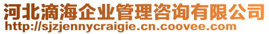 河北滴海企業(yè)管理咨詢有限公司