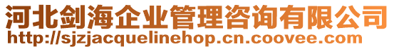 河北劍海企業管理咨詢有限公司